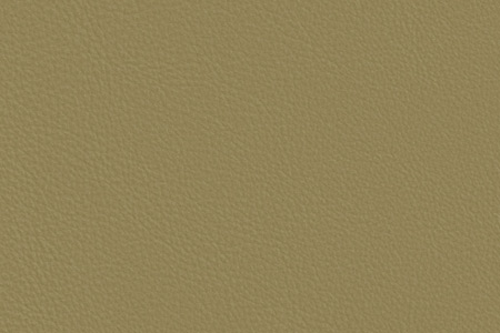 Leather Care