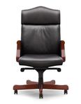 Plain Back Executive Seating